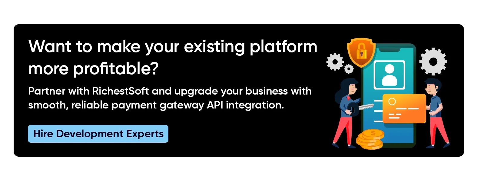 RichestSoft- API Development company