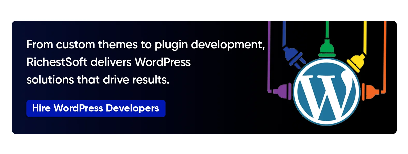 WordPress professional