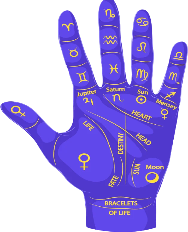 Why Choose RichestSoft As Your Astrology App Development Company