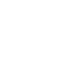Initial Consultation and Requirement Analysis