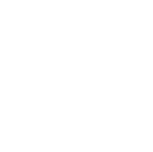 MVP Services