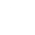 Product Launch