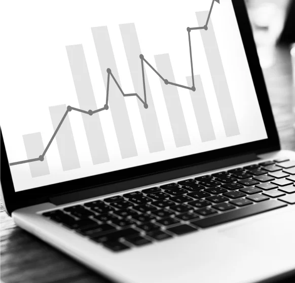 Revenue Stream