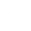 Development & Programming
