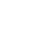 Custom Mobile App