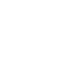 Custom AI