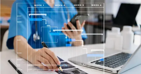Healthcare Management Software
