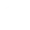 Hybrid Model