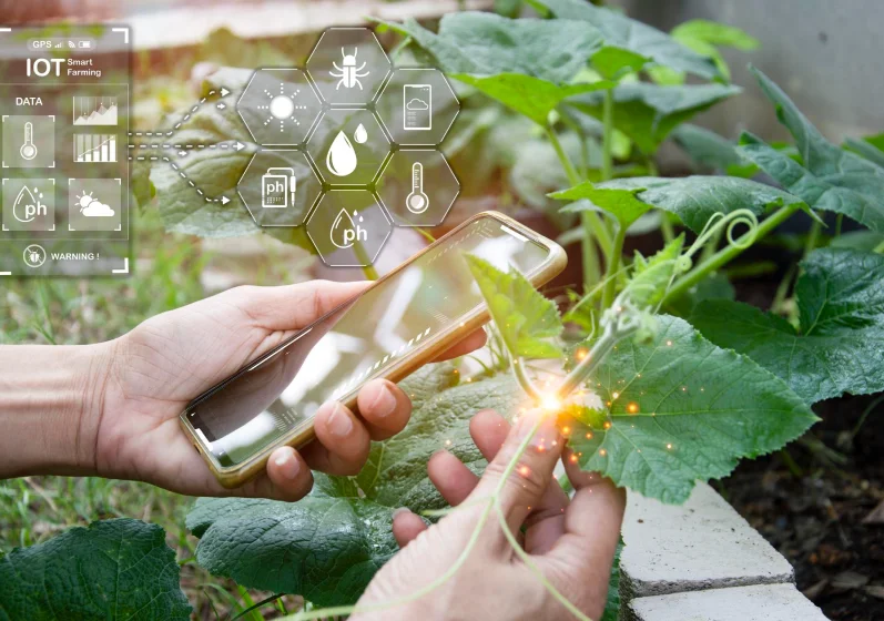 agriculture