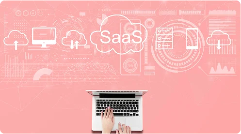 API Integration & Migration