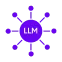 Leading LLM Models