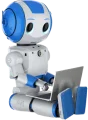 AI Chatbot Development