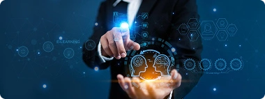 We Handle Everything