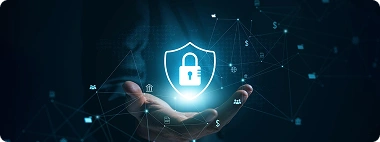 We Handle Everything