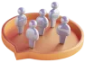 Team Expansion