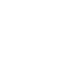 Custom WordPress Development