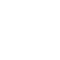 Custom Theme Development