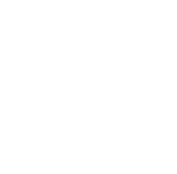 Ecommerce Website Development