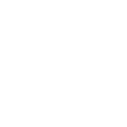 WordPress CMS Development