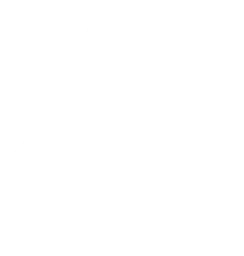 Quality & Testing