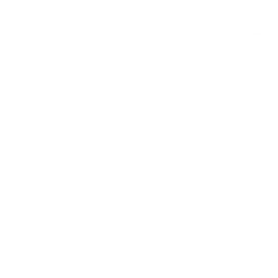 WordPress Plugin Development